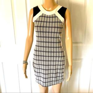 ZARA Black and White Form Fitting Dress